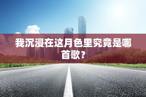我沉浸在这月色里究竟是哪首歌？