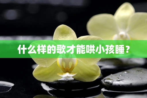 什么样的歌才能哄小孩睡？