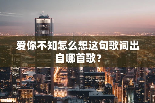 爱你不知怎么想这句歌词出自哪首歌？