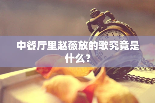 中餐厅里赵薇放的歌究竟是什么？