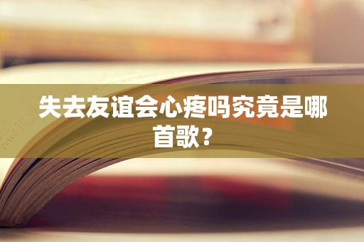 失去友谊会心疼吗究竟是哪首歌？