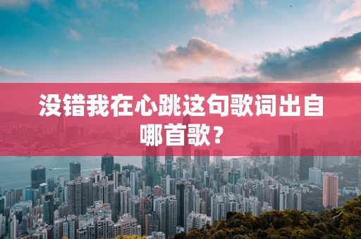 没错我在心跳这句歌词出自哪首歌？