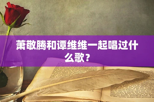 萧敬腾和谭维维一起唱过什么歌？