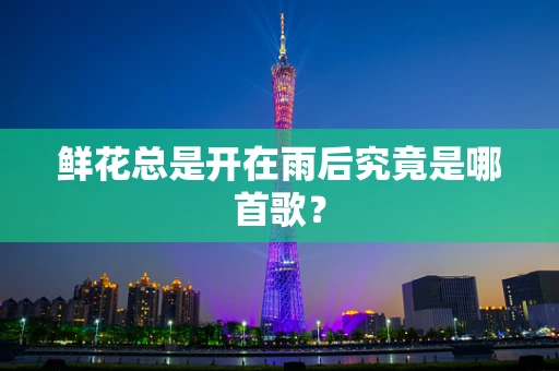 鲜花总是开在雨后究竟是哪首歌？