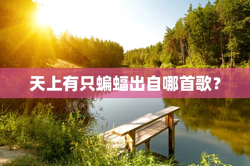 天上有只蝙蝠出自哪首歌？