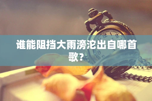 谁能阻挡大雨滂沱出自哪首歌？