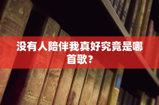 没有人陪伴我真好究竟是哪首歌？