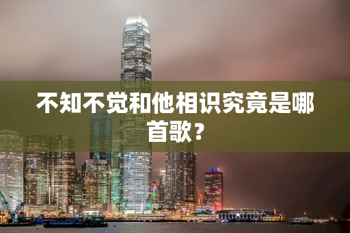 不知不觉和他相识究竟是哪首歌？