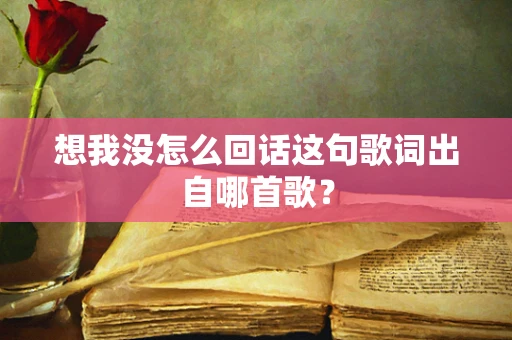 想我没怎么回话这句歌词出自哪首歌？