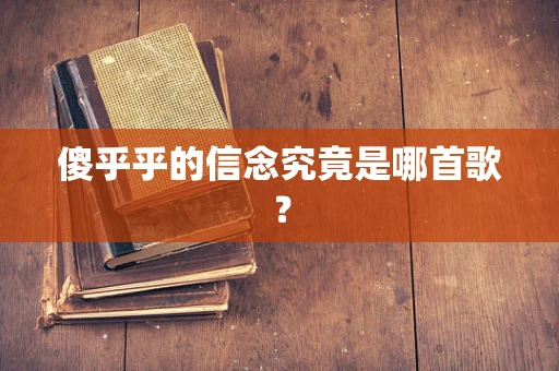 傻乎乎的信念究竟是哪首歌？