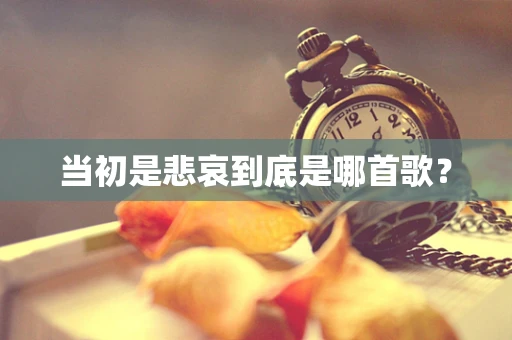 当初是悲哀到底是哪首歌？