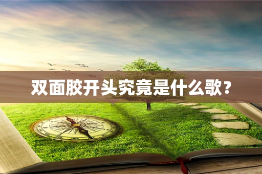 双面胶开头究竟是什么歌？
