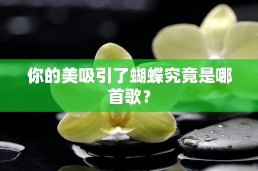 你的美吸引了蝴蝶究竟是哪首歌？