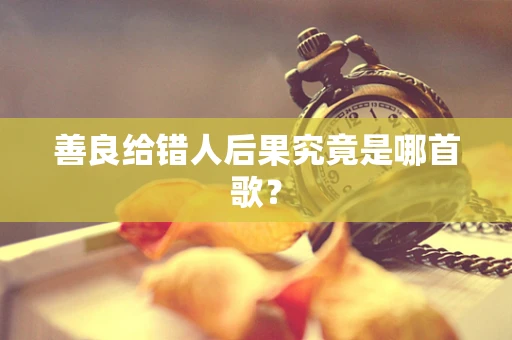 善良给错人后果究竟是哪首歌？