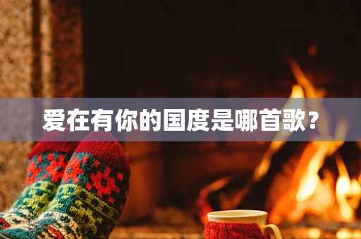 爱在有你的国度是哪首歌？