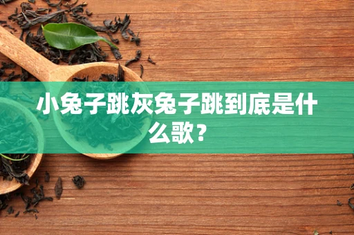 小兔子跳灰兔子跳到底是什么歌？