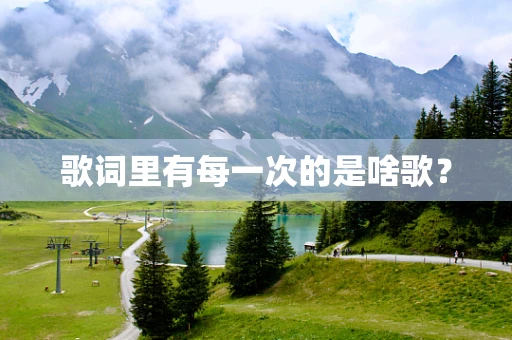 歌词里有每一次的是啥歌？