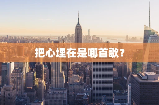 把心埋在是哪首歌？
