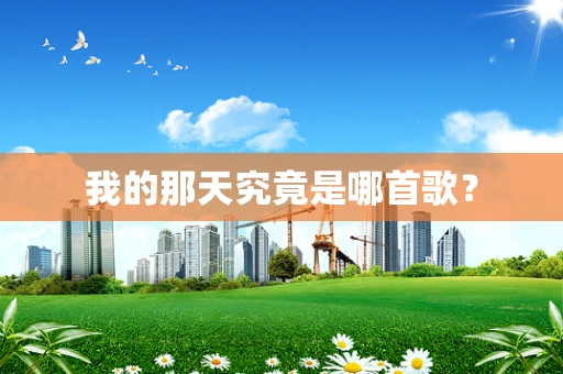 我的那天究竟是哪首歌？