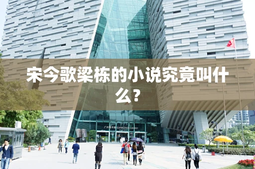 宋今歌梁栋的小说究竟叫什么？