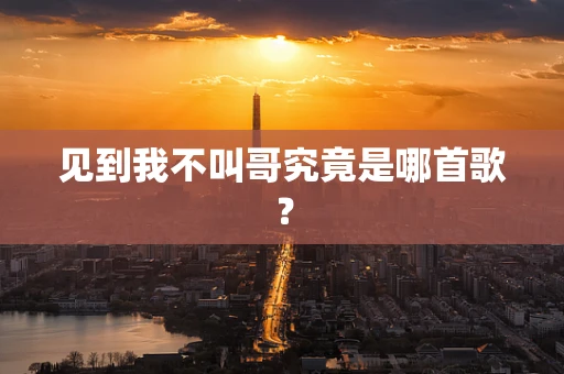 见到我不叫哥究竟是哪首歌？