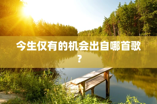 今生仅有的机会出自哪首歌？