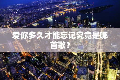 爱你多久才能忘记究竟是哪首歌？