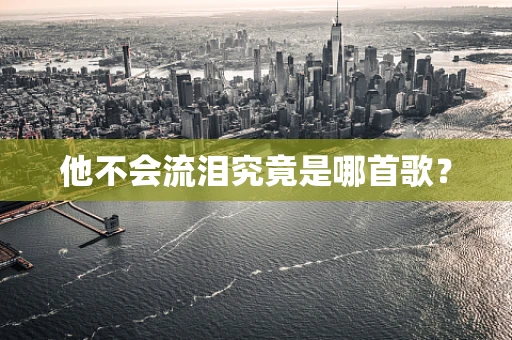 他不会流泪究竟是哪首歌？