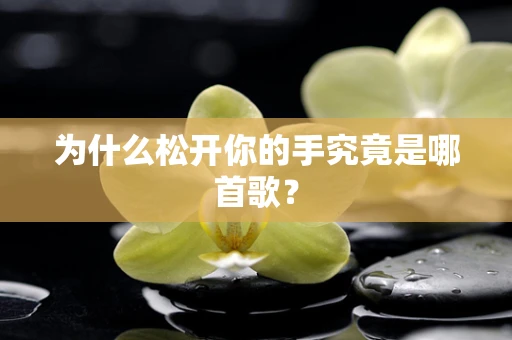 为什么松开你的手究竟是哪首歌？