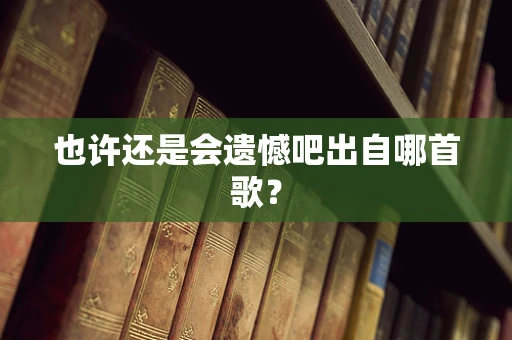 也许还是会遗憾吧出自哪首歌？