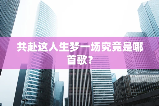 共赴这人生梦一场究竟是哪首歌？