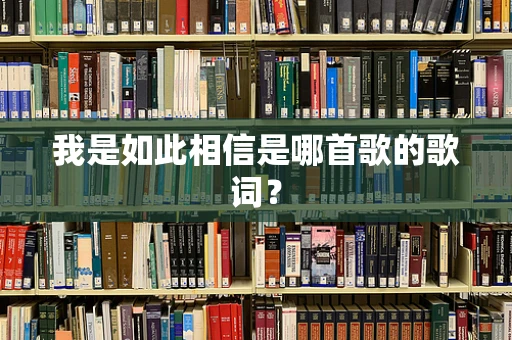 我是如此相信是哪首歌的歌词？