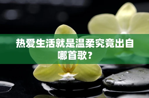 热爱生活就是温柔究竟出自哪首歌？