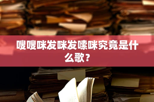 嗖嗖咪发咪发嗦咪究竟是什么歌？