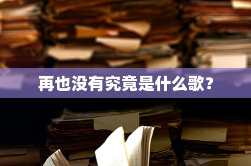 再也没有究竟是什么歌？