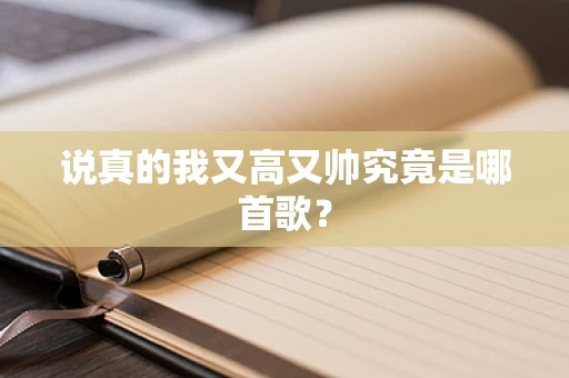 说真的我又高又帅究竟是哪首歌？
