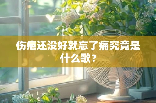 伤疤还没好就忘了痛究竟是什么歌？