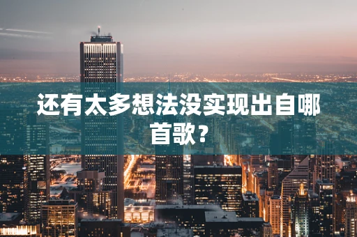 还有太多想法没实现出自哪首歌？