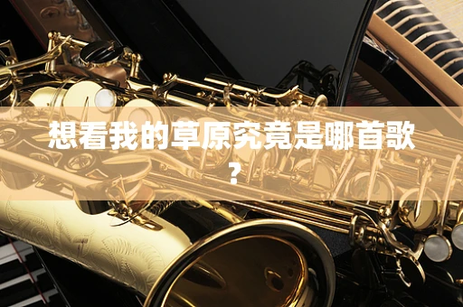 想看我的草原究竟是哪首歌？