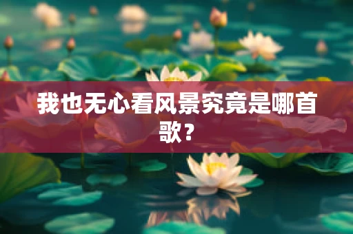 我也无心看风景究竟是哪首歌？