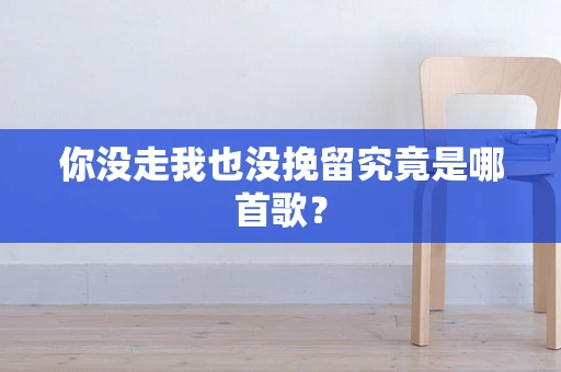 你没走我也没挽留究竟是哪首歌？