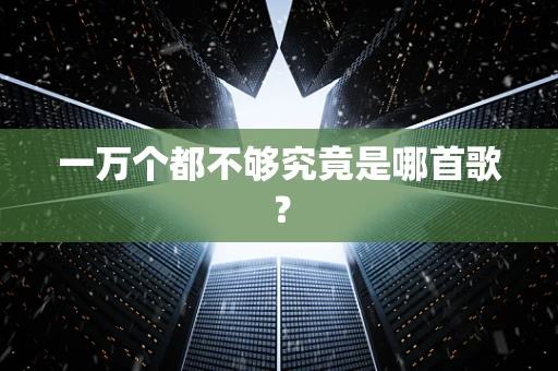 一万个都不够究竟是哪首歌？