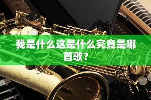 我是什么这是什么究竟是哪首歌？