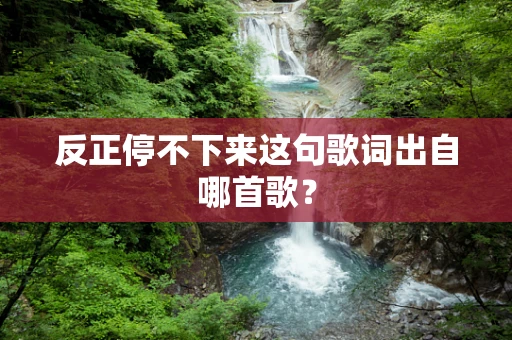 反正停不下来这句歌词出自哪首歌？