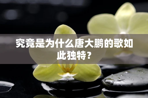 究竟是为什么唐大鹏的歌如此独特？