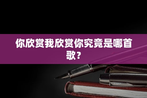 你欣赏我欣赏你究竟是哪首歌？