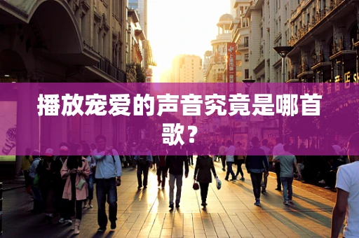 播放宠爱的声音究竟是哪首歌？