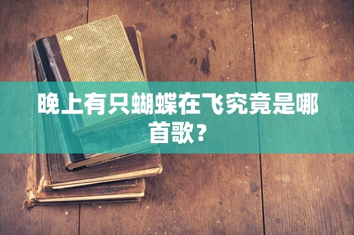 晚上有只蝴蝶在飞究竟是哪首歌？