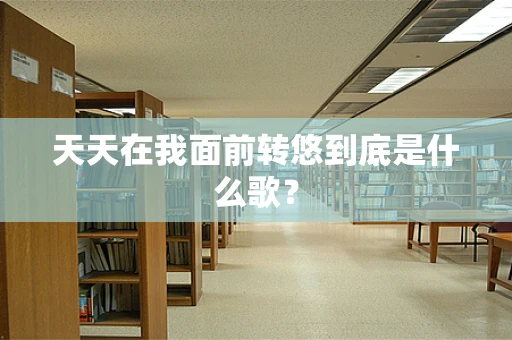 天天在我面前转悠到底是什么歌？