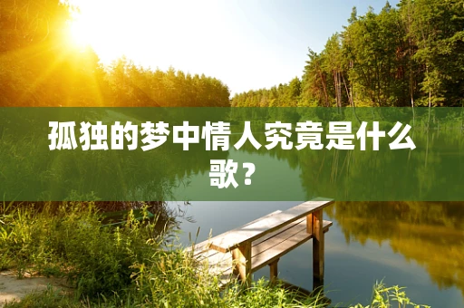 孤独的梦中情人究竟是什么歌？